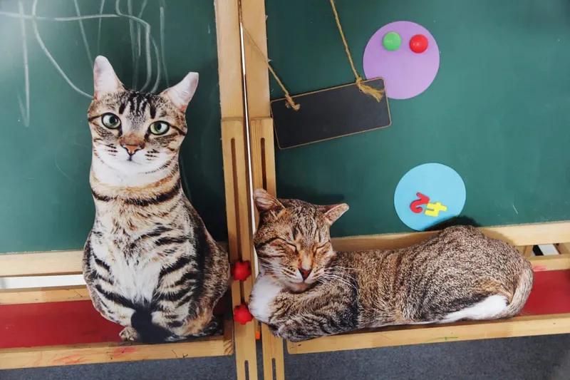 50cm Lifelike Plush Cat Pillow Stuffed 3D Print Animal Cat Throw Pillow Home Decoration Gift for Car People
