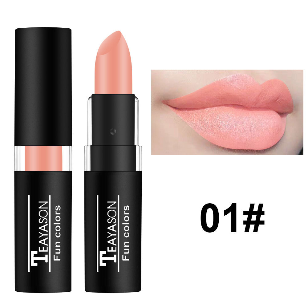 12 Color Lipstick Waterproof Long Lasting Cosmetic Black Blue Purple Green Matte Make Up Lip Gloss Makeup Red Lipstick — image 12