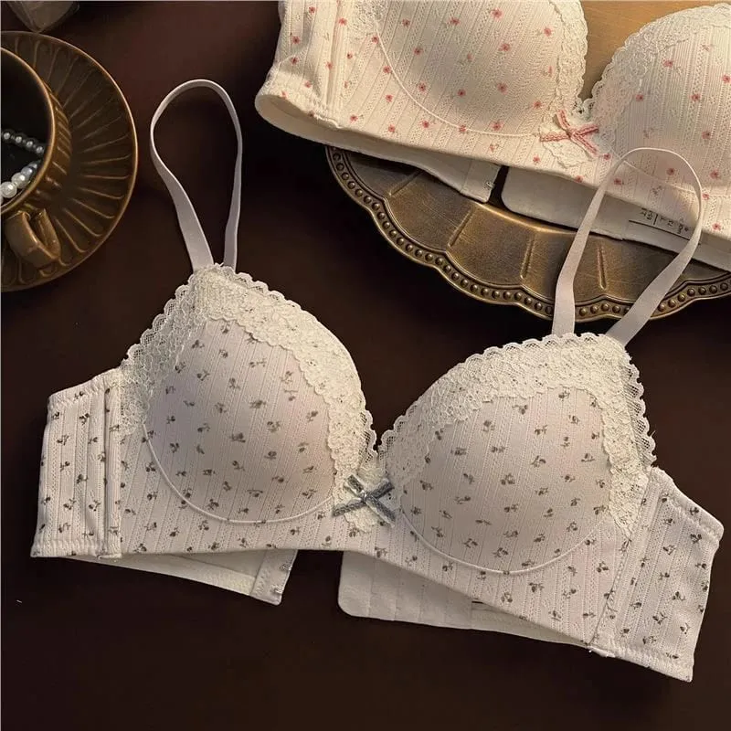 Sexy Lace Floral Bra Set Comfortable Non-steel Ring Beauty Back Small Breasts Gathered Up Support Anti-sagging Teenage Bra Set — image 11