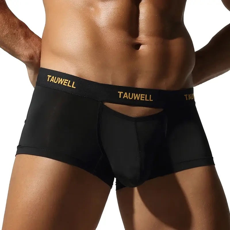Herrenunterwäsche, bequem, kühl, dünn, sexy, halbtransparent, flacher Winkel, mit U-förmigem Beutel
