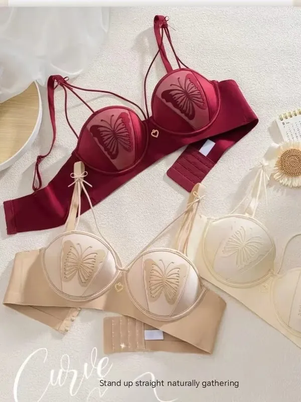 Sexy Push Up Lingerie Small Breast Gathering Anti-sagging Seamless Bra Sexy Beauty Back Butterfly Wire Free Lingerie Bra — image 2