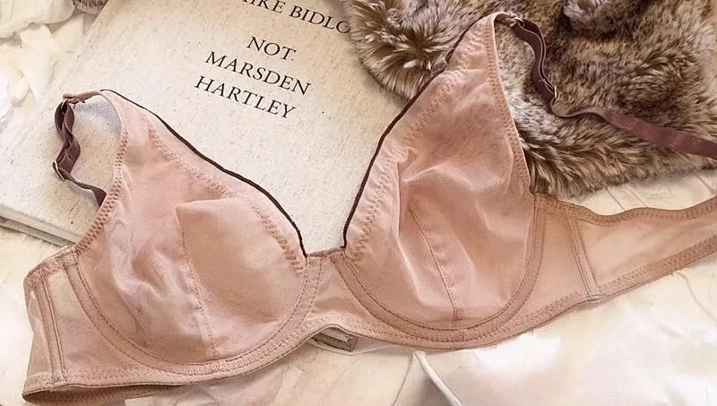 Minimizer Bra Plus Size Underwire French Style Triangle Cup Push Up Sexy Mesh Lingerie Set Support 32-40 MOYISU Sexy Bra Set BC