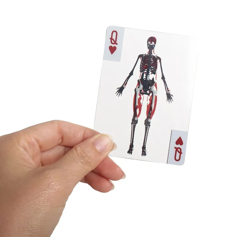 The Body Deck Cards Reusable 3D Image Educational Cards Multi-Purpose Body Transparent Playing Cards for Friend Gifts