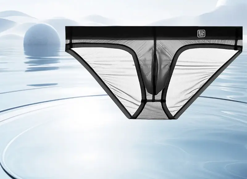 Ice Silk Ultra-thin Men Underwear Seamless Transparent Quick Drying Briefs Sexy U Bulge Pouch Triangle Underpants Erotic Panties