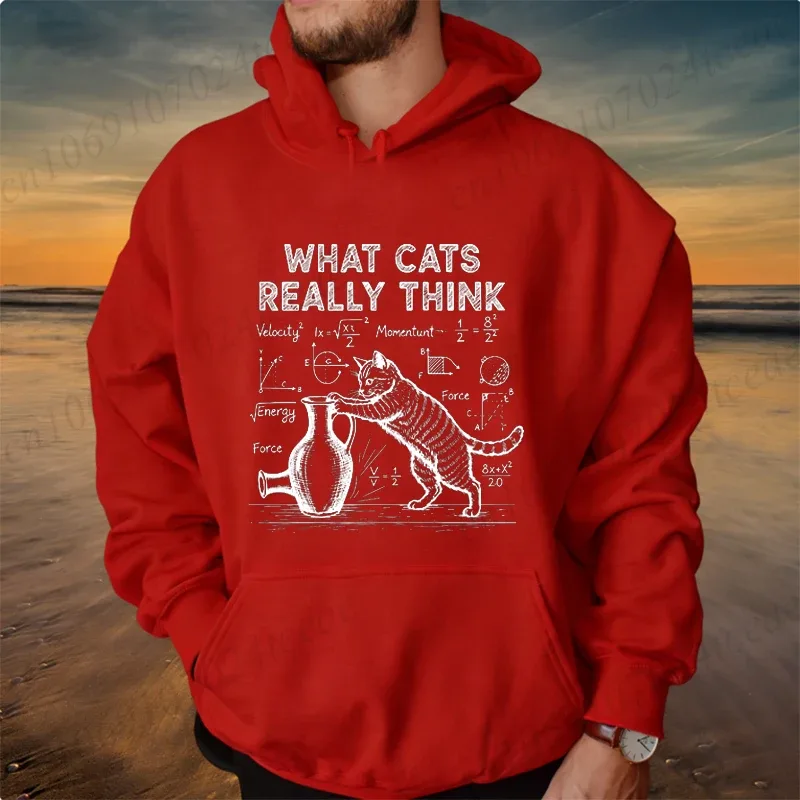 Funny Cat Physics Design Hoodies Math Science Humor Cat Print Sweatshirt Personalized Men Women Casual Streetwear Fashion Hoodie