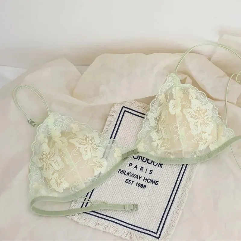 Ultra Thin Bralette for Small Bust Women French Lace Embroidery Wireless Comfort Sexy Back Beauty Everyday Bra Set BANERDANNI — image 2