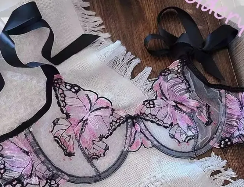 Butterfly Embroidery French Lace Bra Sheer Net Elastic Straps No Padding Romantic Womens Lingerie Set S-XL Soft Comfy