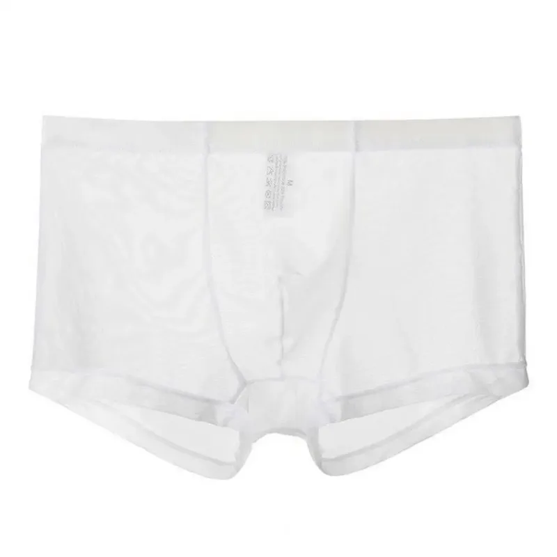 Boxer trasparenti da uomo vedono attraverso le mutande maschili sexy mesh a vita bassa seta ghiacciata sottile raffreddamento mutandine da uomo intimo da uomo