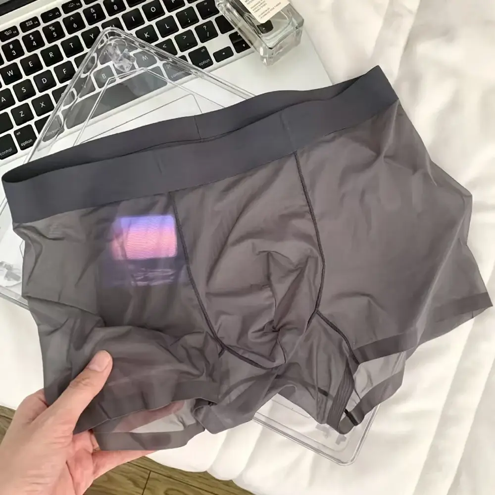 Men Sexy Elastic Men's Panties Quick Drying Ultra-thin Boxer Shorts Transparent Boxers Underwear U Bulge Pouch Sexy Und