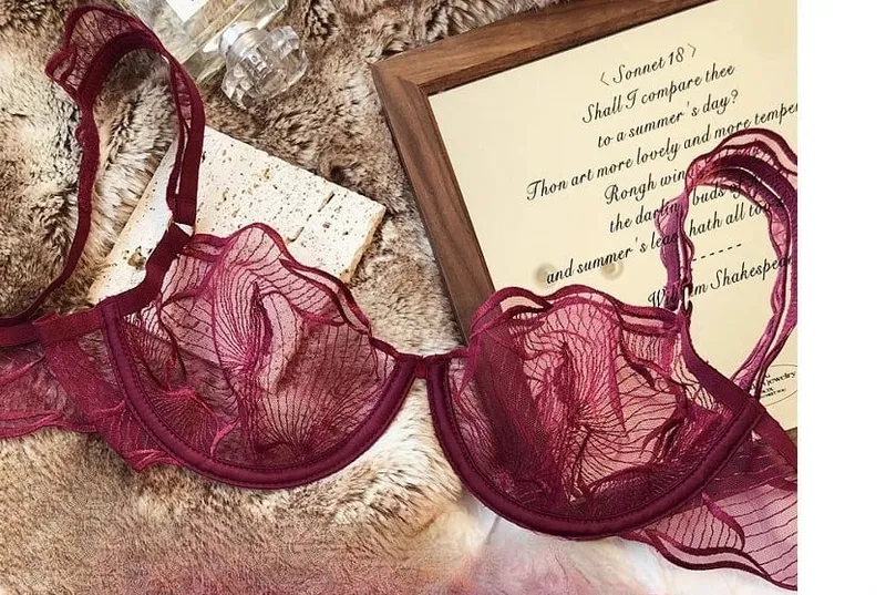 Womens French Lace Bra Set Ultra Thin Embroidery Hollow Minimizer Brassiere Sheer Lingerie Underwear Soft Comfortable 32 to 38 — image 9