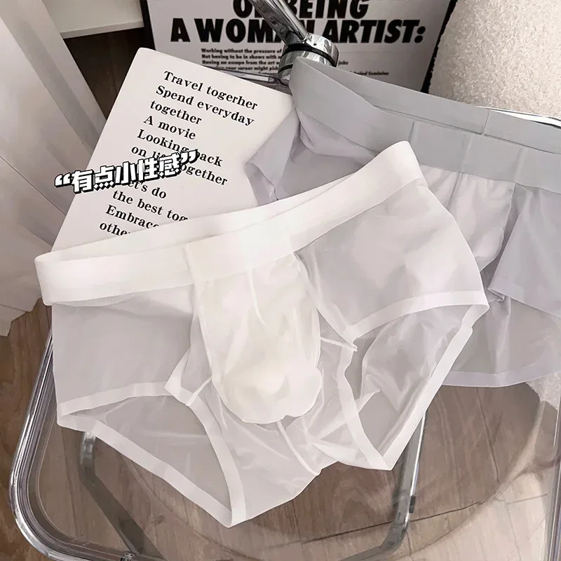 Transparent Men's Briefs Ultra-thin Ice Silk Quick Dry Panties Sexy U Bulge Pouch Man Underwear Breathable Underpants Cuecas — image 15