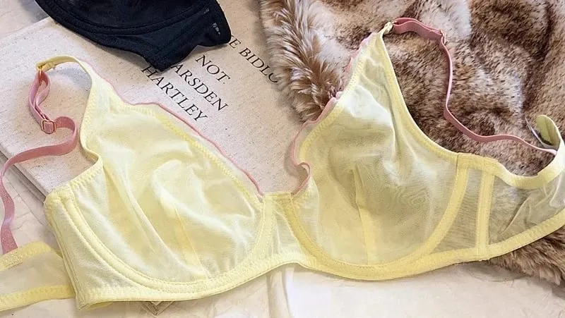 Minimizer Bra Plus Size Underwire French Style Triangle Cup Push Up Sexy Mesh Lingerie Set Support 32-40 MOYISU Sexy Bra Set BC