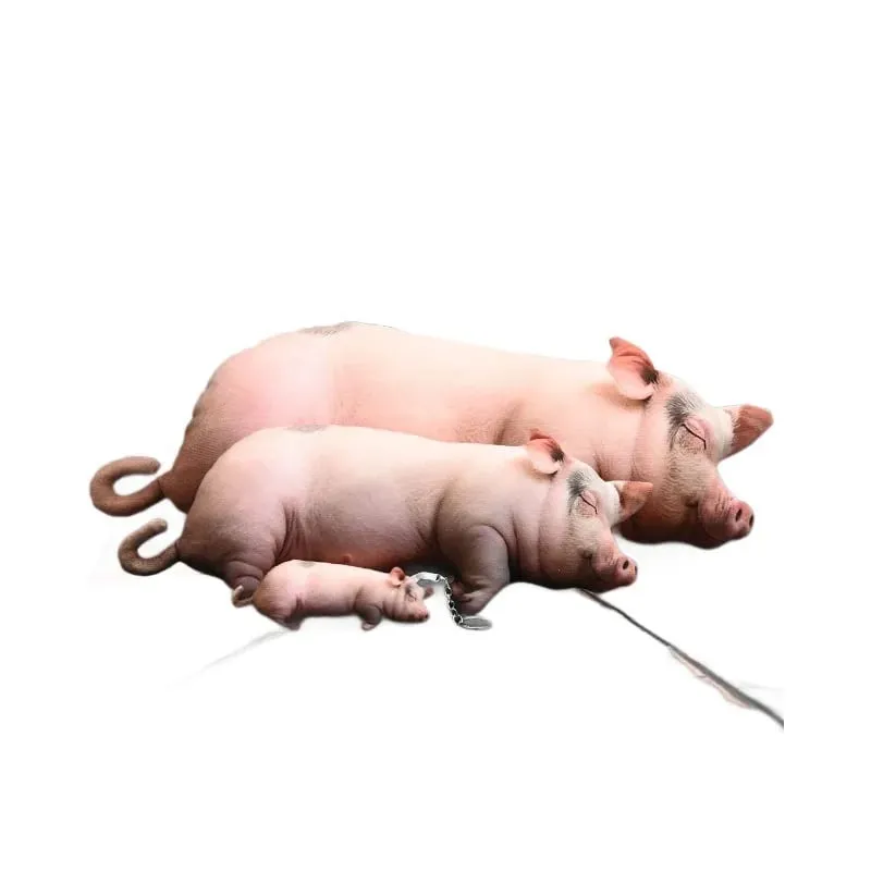 【In Stock】Cute Lifelike Simulation Pig Plush Toy Soft Sleeping Pillow Holiday Gift For Close Friends Home Sofa Decor Cushion — image 7