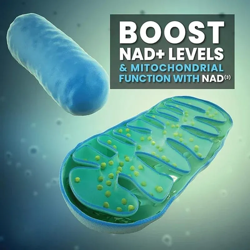 NAD Capsules Supplement Liposomaal NAD+ supplement - Verouderingsverdediging Cellulaire energie Hart- en hersenfunctie