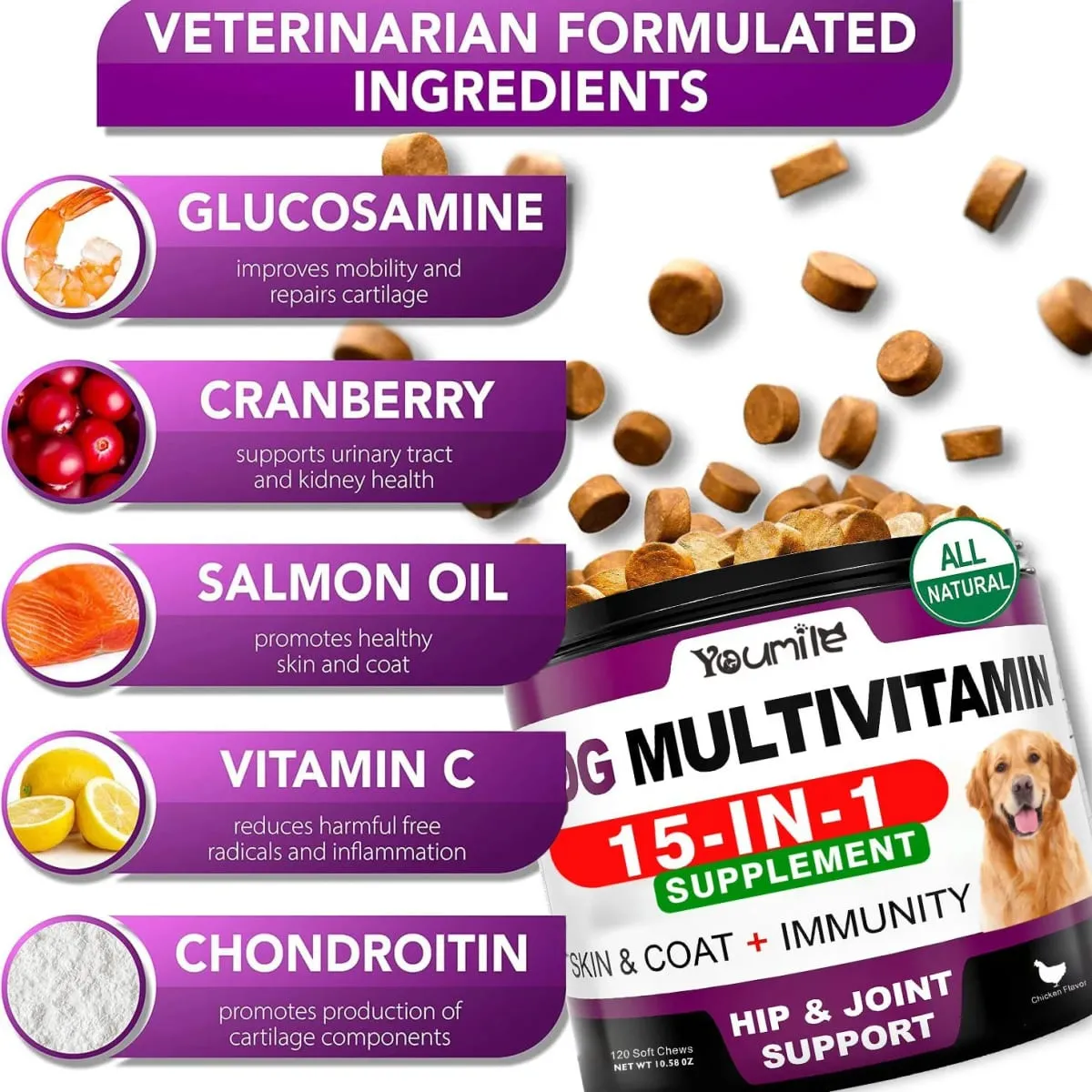 Senior & Puppy Dog Multivitamin Supplement Multi Vitamins Chicken Flavor Chews for Pet Joint Immunity Mobility Energy Gut Skin — image 3