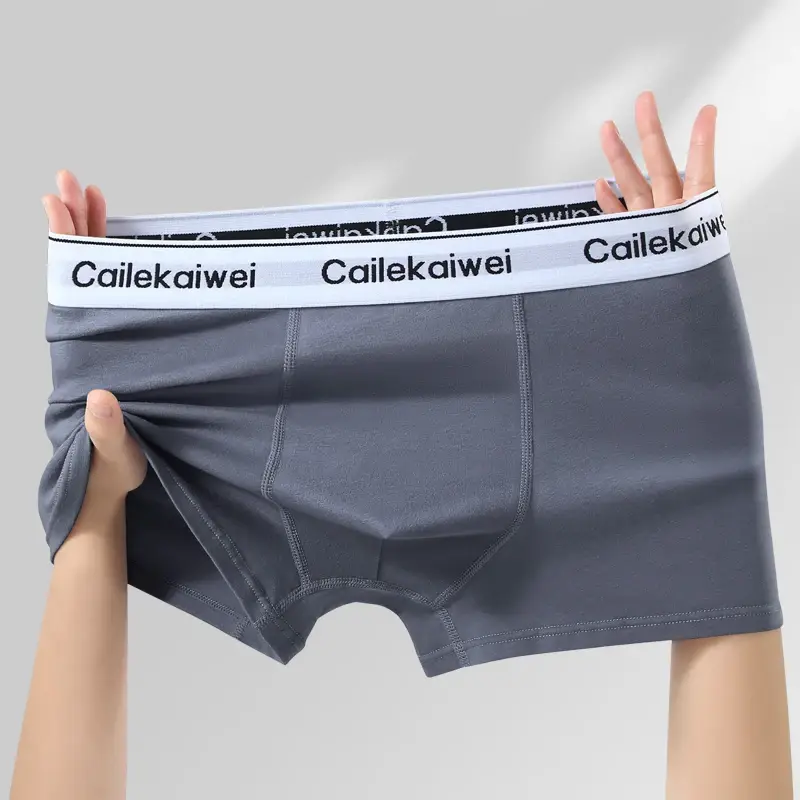 5Pcs Boxer Shorts Men's Underwear Sexy Panties Pure Cotton Solid Elasticity Man Underpants Male Boxers Homme U Convex Lingerie — image 11