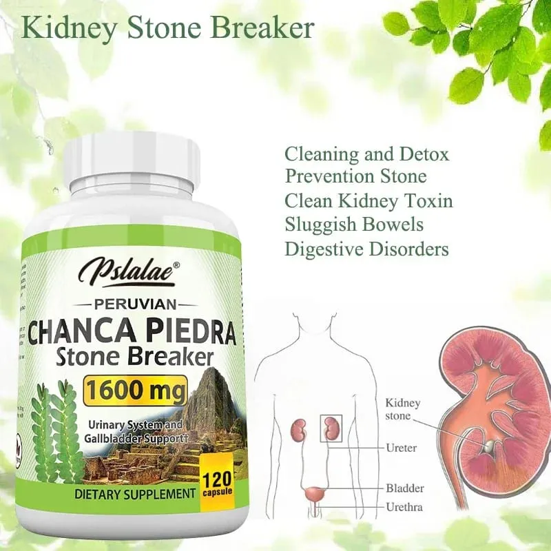 Chanca Piedra Capsules 1600mg - Urinary Tract Support Non-GMO Supplement Kidney Stone Crushing — image 5