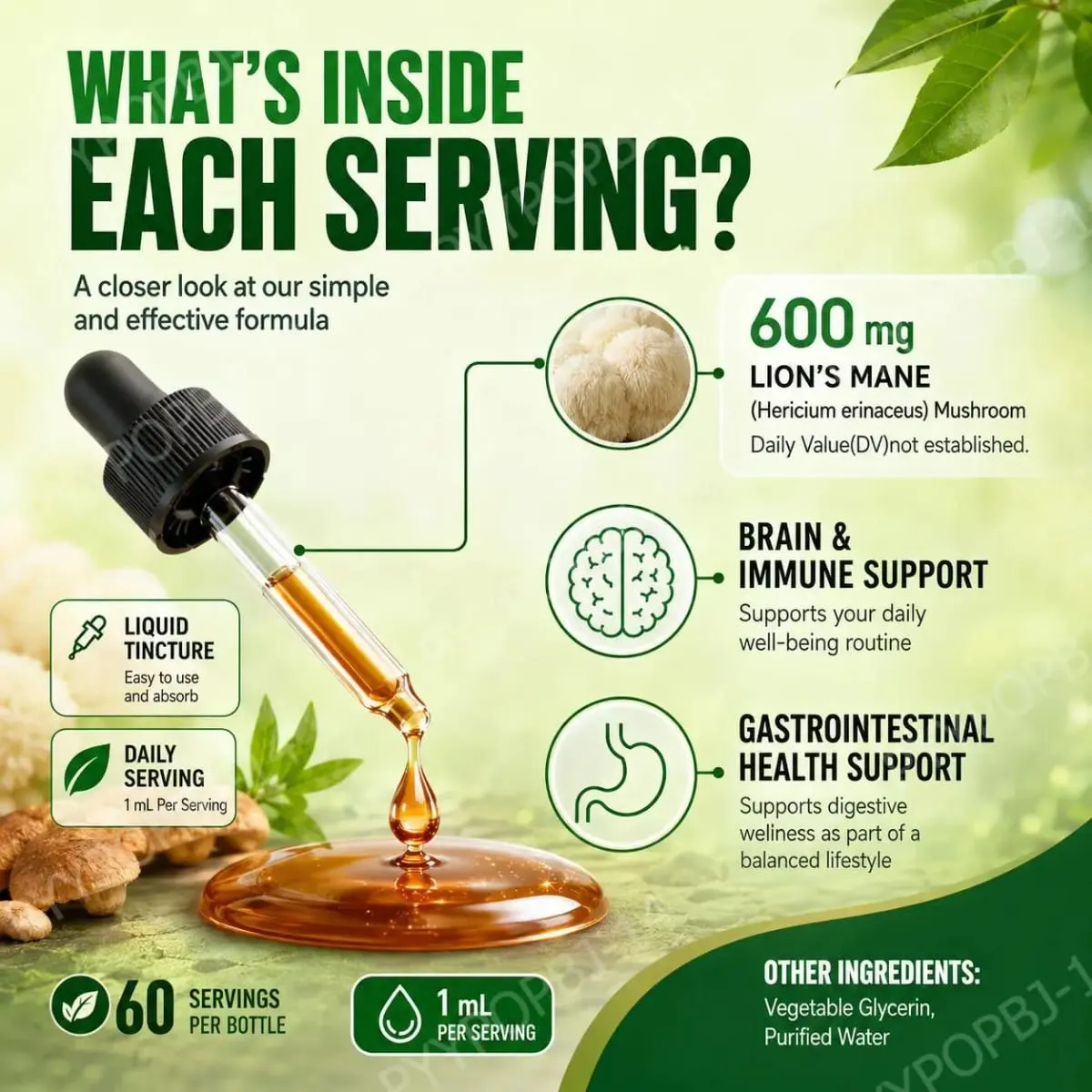 Lion's Mane Mushroom Tincture Liquid Brain & Immune Support and Gastrointestinal Health Support Lion's Mane 600 Mg 60 ML — image 5