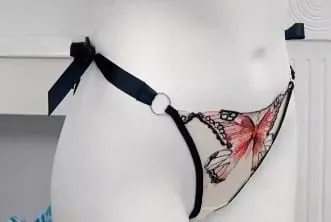 Butterfly Embroidery French Lace Bra Sheer Net Elastic Straps No Padding Romantic Womens Lingerie Set S-XL Soft Comfy — image 14