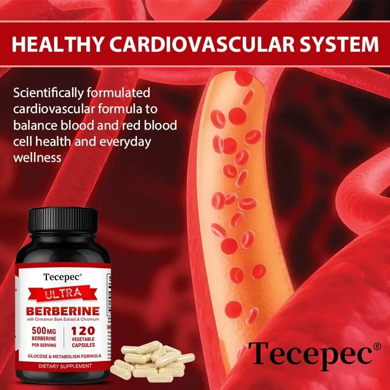 Berberine HCl 500mg Capsules with Ceylon Cinnamon Support Metabolism Cholesterol Cardiovascular GI & Daily Immune Wellness — image 3