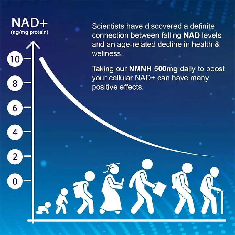 Natural NMNH Capsules Advanced High Absorption NMNH Support Immunity Cellular Repair & Skin Wellness for Adults — image 4