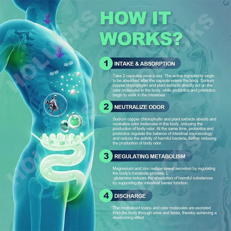 Chlorophyll Capsules Supplement Body Deodorizing Deos & Cleanse Digestion Support for Gut & Skin Health — image 3