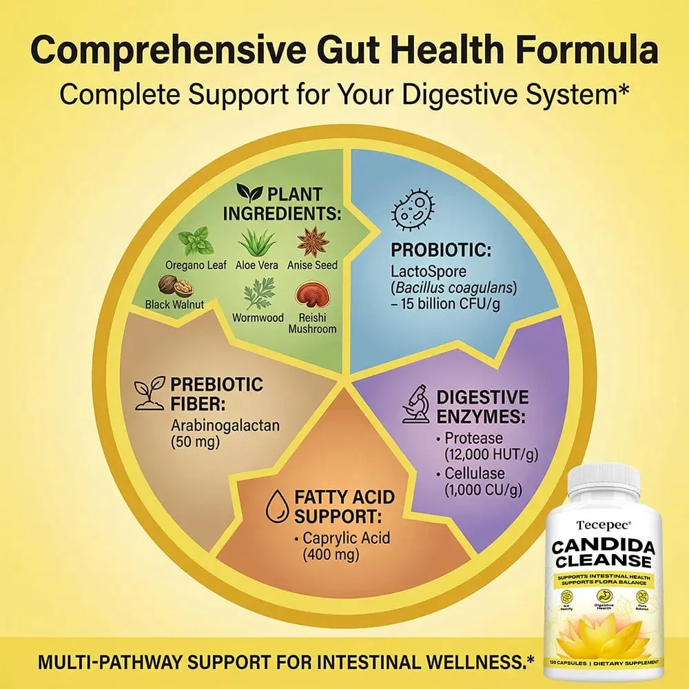 Candida Cleanse Capsules - Intestinal Colon Detox Tarmflorabalance understøtter fordøjelsen Lindre oppustethed Antioxidanttilskud — image 3