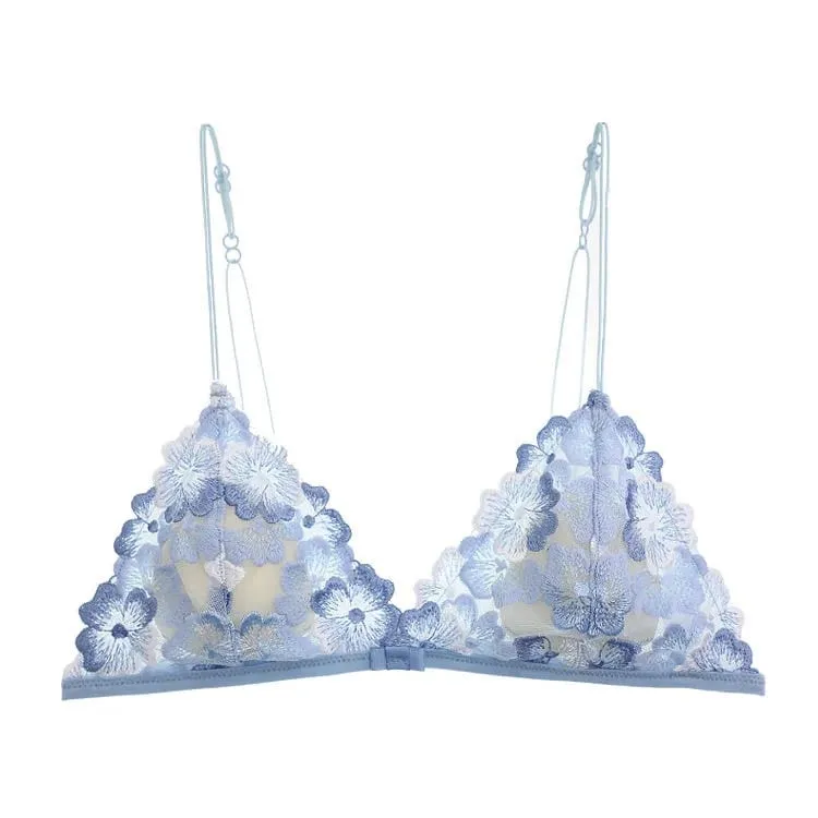 Ultra Thin Bralette for Small Bust Women French Lace Embroidery Wireless Comfort Sexy Back Beauty Everyday Bra Set BANERDANNI