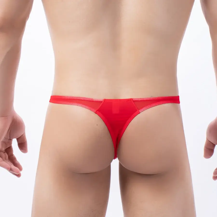 Männer Unterwäsche T-Zurück G String Tanga Sexy Ausbuchtung Beutel Eis Seide Tangas Transparente Taille Dessous Höschen hombre männlichen Slips Y30