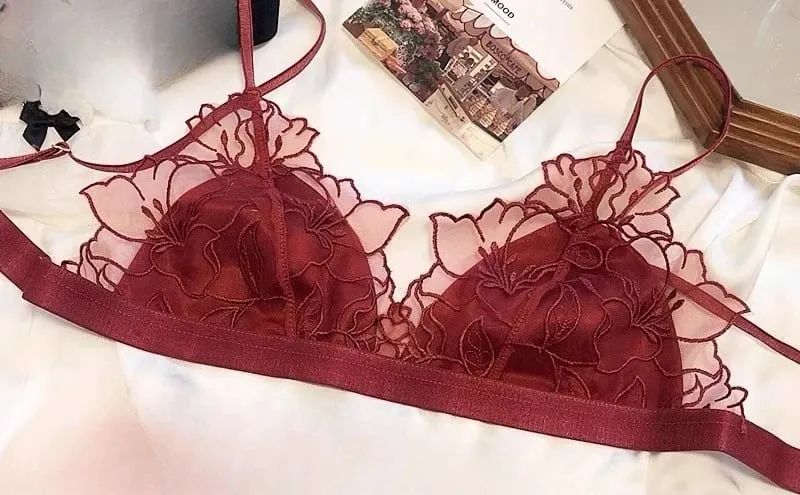 Sexy Wireless Bra for Women French Lace Triangle Bralette No Padding Underwear Minimalist Thin Strap Small Cup Lingerie MOYISU — image 13