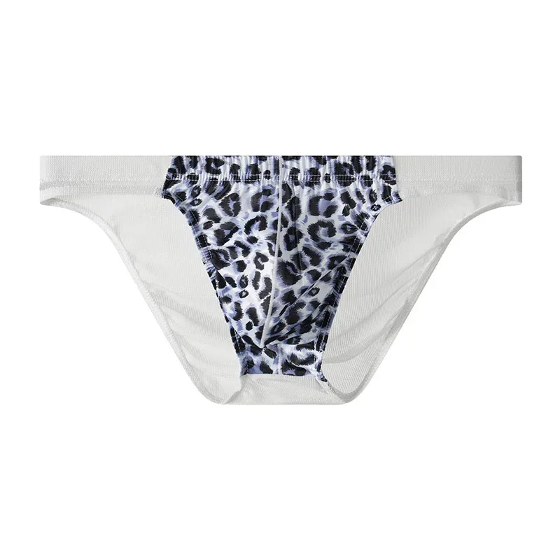 2-Piece Set! Leopard Panties Men's Net Yarn Transparent sexy Briefs Men's Trend Personality Breathable Sports Shorts — image 3