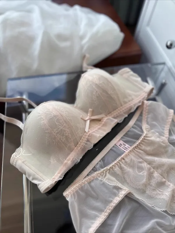 Victorian Inspired Demi Bra & Knicker Set | Sheer Mesh Lace Push Up for Small Bust Anti-Sagging | Luxury Lingerie MOYISU Panty — image 14