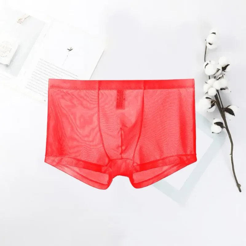 Boxer trasparenti da uomo vedono attraverso le mutande maschili sexy mesh a vita bassa seta ghiacciata sottile raffreddamento mutandine da uomo intimo da uomo — image 10