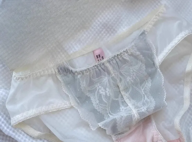 Victorian Inspired Demi Bra & Knicker Set | Sheer Mesh Lace Push Up for Small Bust Anti-Sagging | Luxury Lingerie MOYISU Panty — image 15