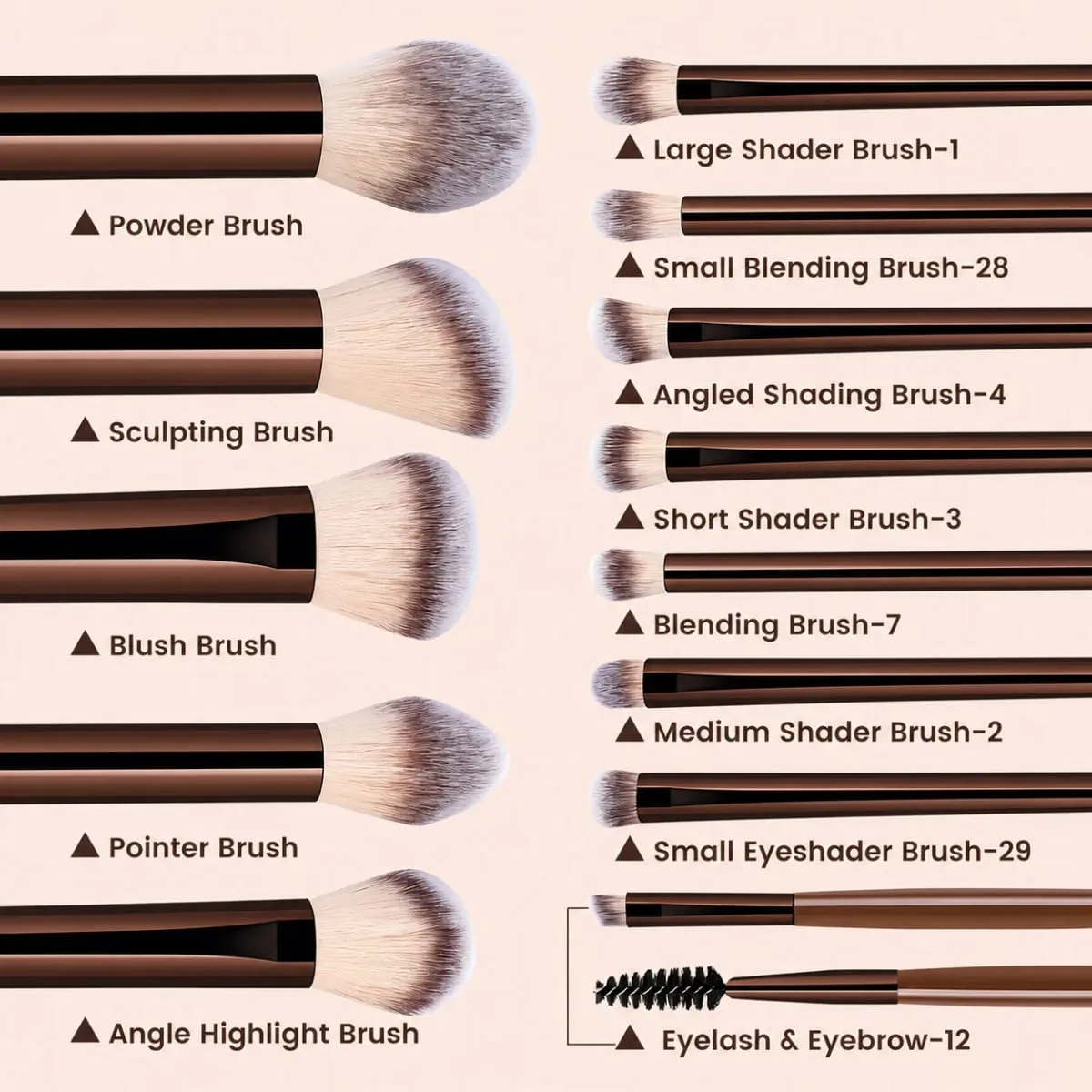 13PCS Makeup Brush Set Soft Bristles for Foundation Blush Loose Powder and Eyelash Grooming Student Essentials Beginner Kit