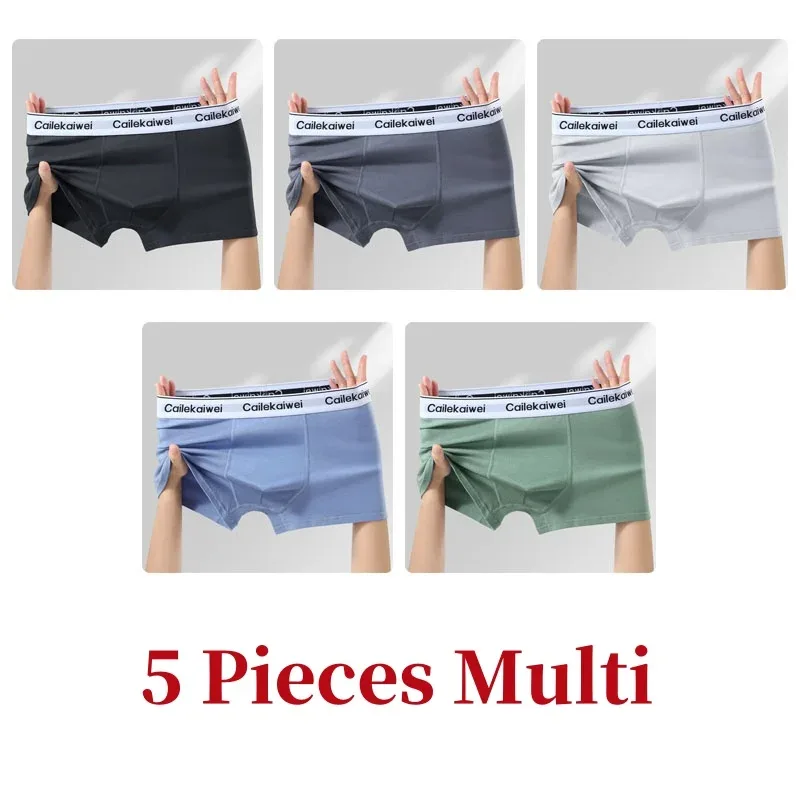 5Pcs Boxer Shorts Men's Underwear Sexy Panties Pure Cotton Solid Elasticity Man Underpants Male Boxers Homme U Convex Lingerie