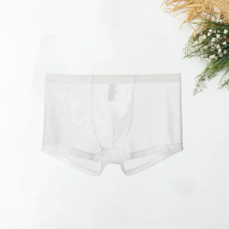 Boxer trasparenti da uomo vedono attraverso le mutande maschili sexy mesh a vita bassa seta ghiacciata sottile raffreddamento mutandine da uomo intimo da uomo — image 16