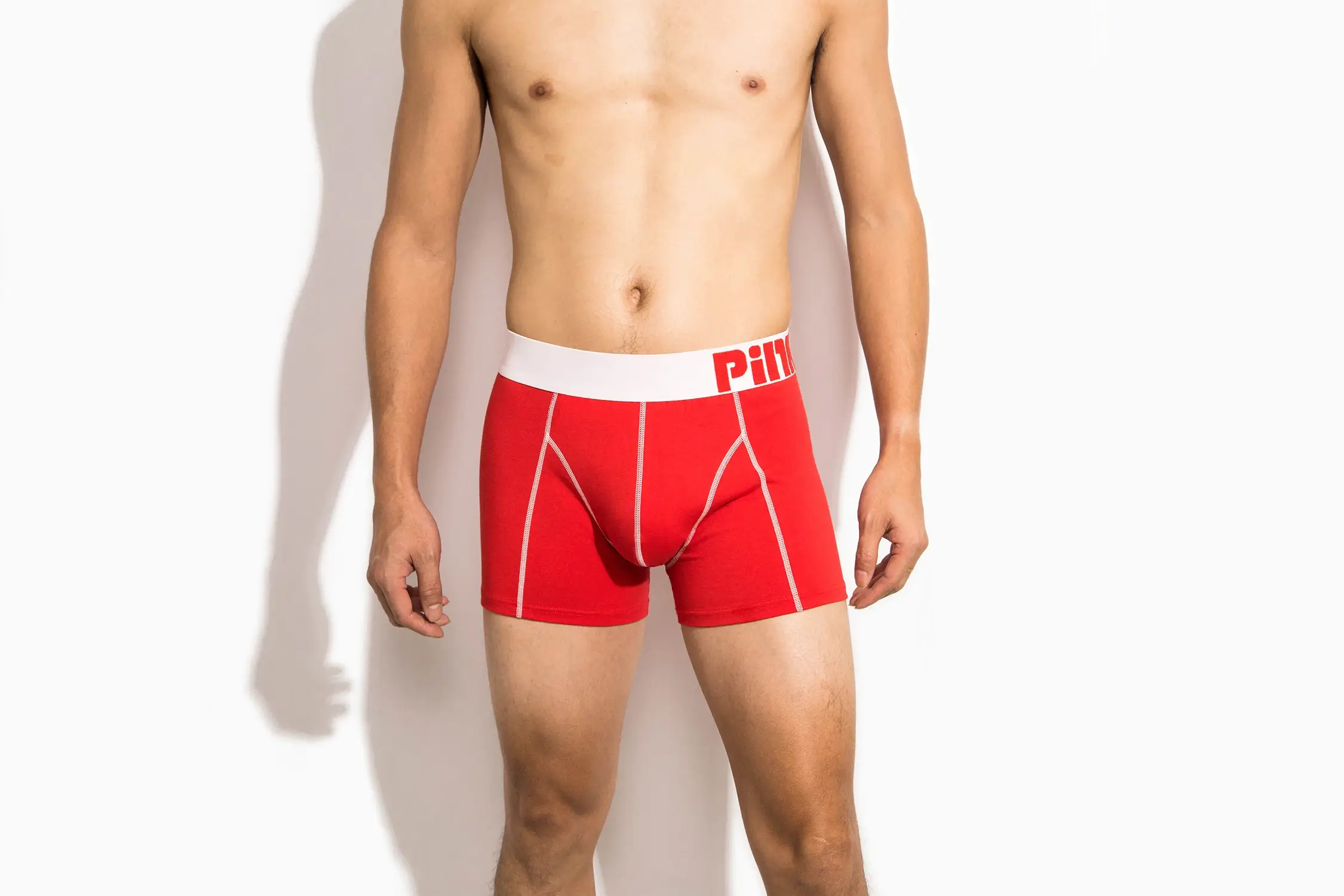 4-PACK PINKHERO Fashion Underpants For Men,Stylish Comfy And Soft Slip Homme,Cotton Fancy Underwear Boxer Briefs,Men's Panties — image 11