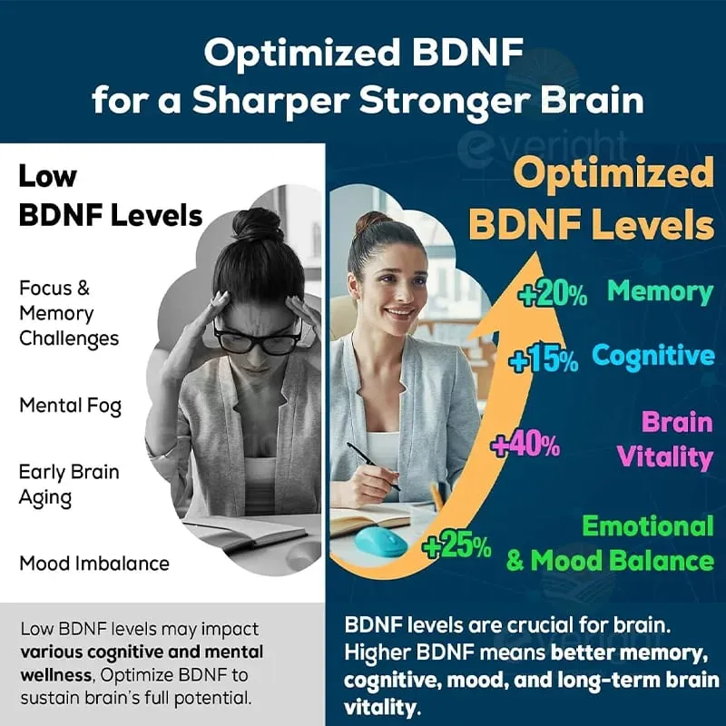 Brain Supplement for Memory Focus Nervous System Energy and IQ Concentration and Cognition Health