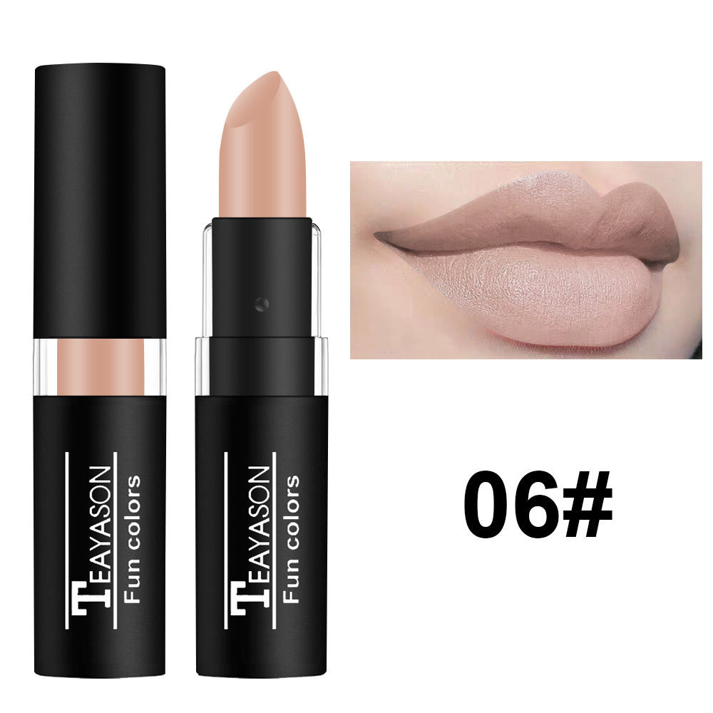 12 Color Lipstick Waterproof Long Lasting Cosmetic Black Blue Purple Green Matte Make Up Lip Gloss Makeup Red Lipstick — image 13