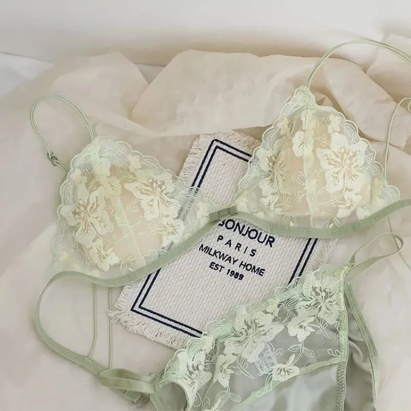 Ultra Thin Bralette for Small Bust Women French Lace Embroidery Wireless Comfort Sexy Back Beauty Everyday Bra Set BANERDANNI — image 1