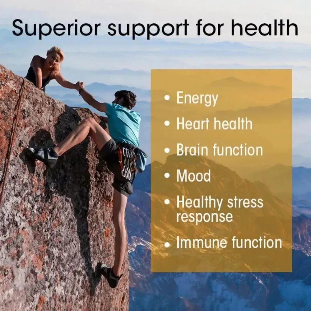 Vitamin B Complex - Contains All B Vitamins Supports Immune Health & Energy Production Nervous System Support — image 6