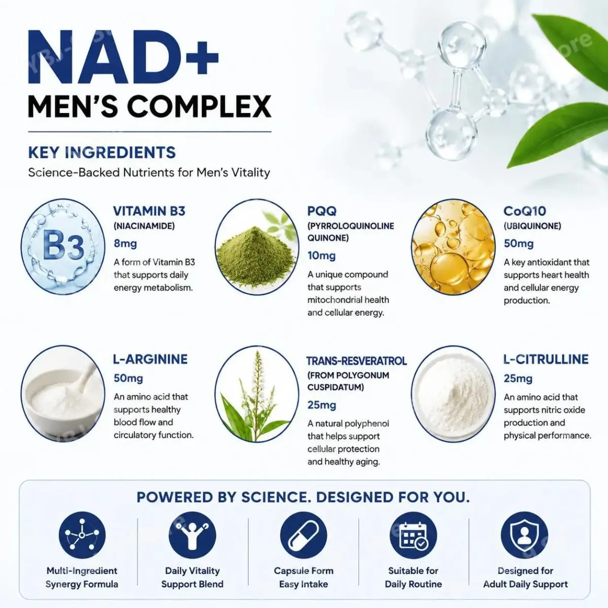 Docteat NAD+ Men's Complex Capsules for Daily Energy Metabolism and Circulatory Support Male Vitality Balance 60 Capsules — image 5