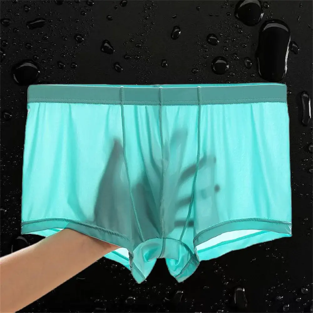 Transparent Boxers Men Ice Silk Quick Dry Male Trunks Summer Seamless Underwear Ultra-thin Plus Size Shorts