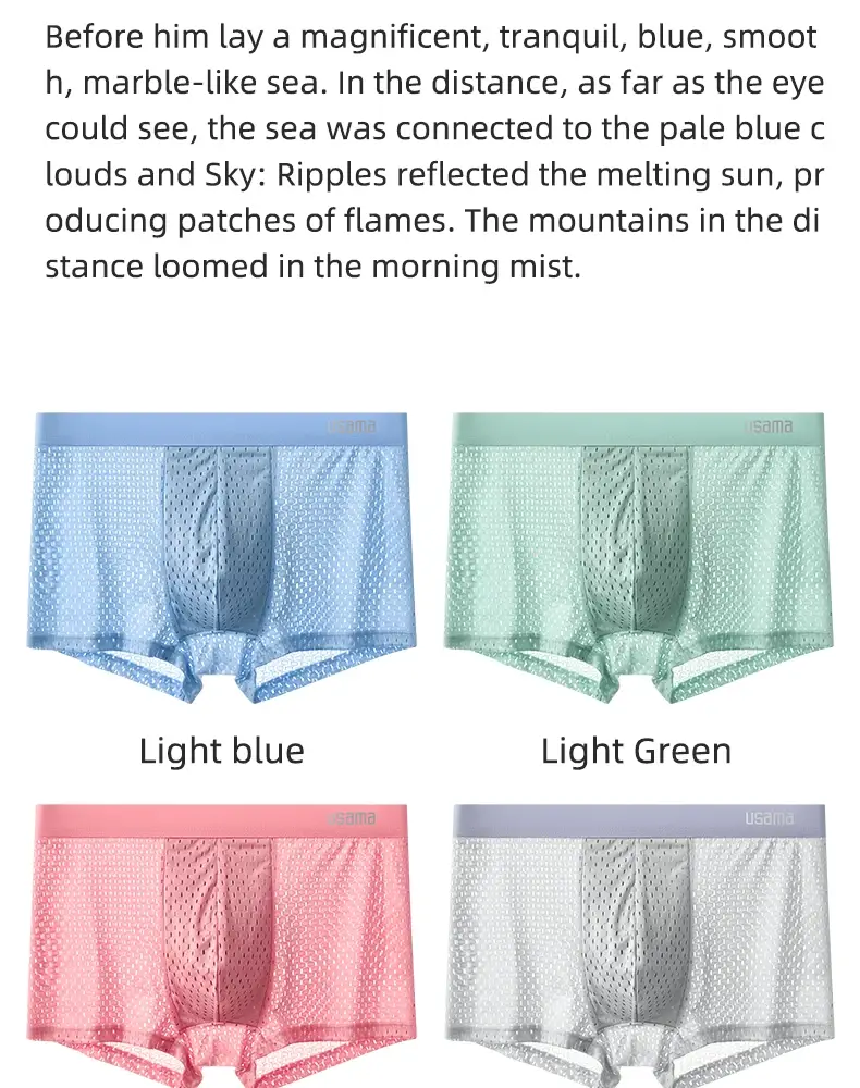5pcs Men's Boxer Shorts Ice Silk Underwear Plus Size Underpants Cool Breathable Sexy Slim Panties Mesh Lingerie Wholesale Lots — image 4