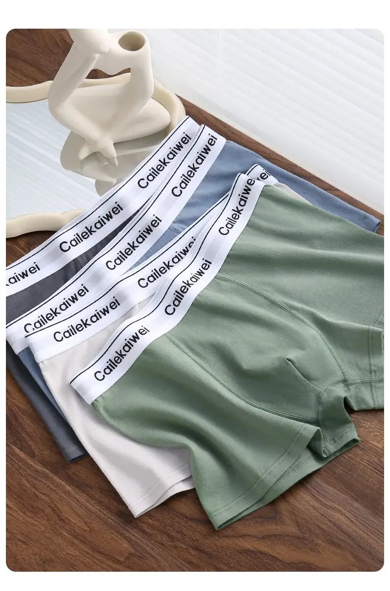 5Pcs Boxer Shorts Men's Underwear Sexy Panties Pure Cotton Solid Elasticity Man Underpants Male Boxers Homme U Convex Lingerie — image 1