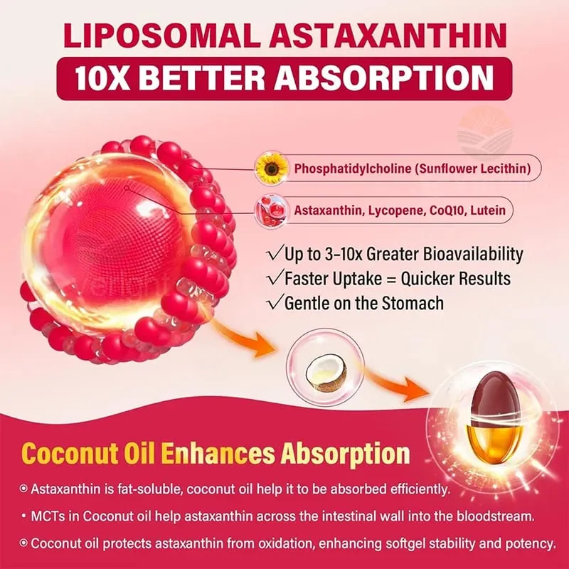 Liposomal Astaxanthin Supplements na may Lycopene CoQ10 Lutein Vitamin B6 E Zinc Antioxidants para sa Malusog na Balat na Pagtanda ng Mata — image 4