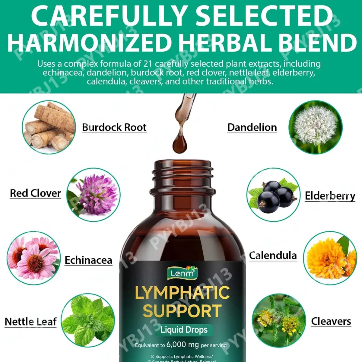 Lenm 60ml Lymphatic System Cleanse Immune Support Liquid Supplements Natural Organic Lymphatic Herbal Drops for BalanceSupport