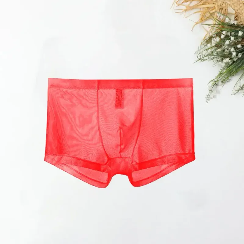 Boxer trasparenti da uomo vedono attraverso le mutande maschili sexy mesh a vita bassa seta ghiacciata sottile raffreddamento mutandine da uomo intimo da uomo — image 14