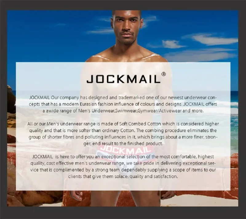 Sexy Man's Underwear Briefs Underpants Nylon Mesh Men's Briefs Bikini Underwear Men's Boxer Briefs Nylon Mesh Bikini — image 23